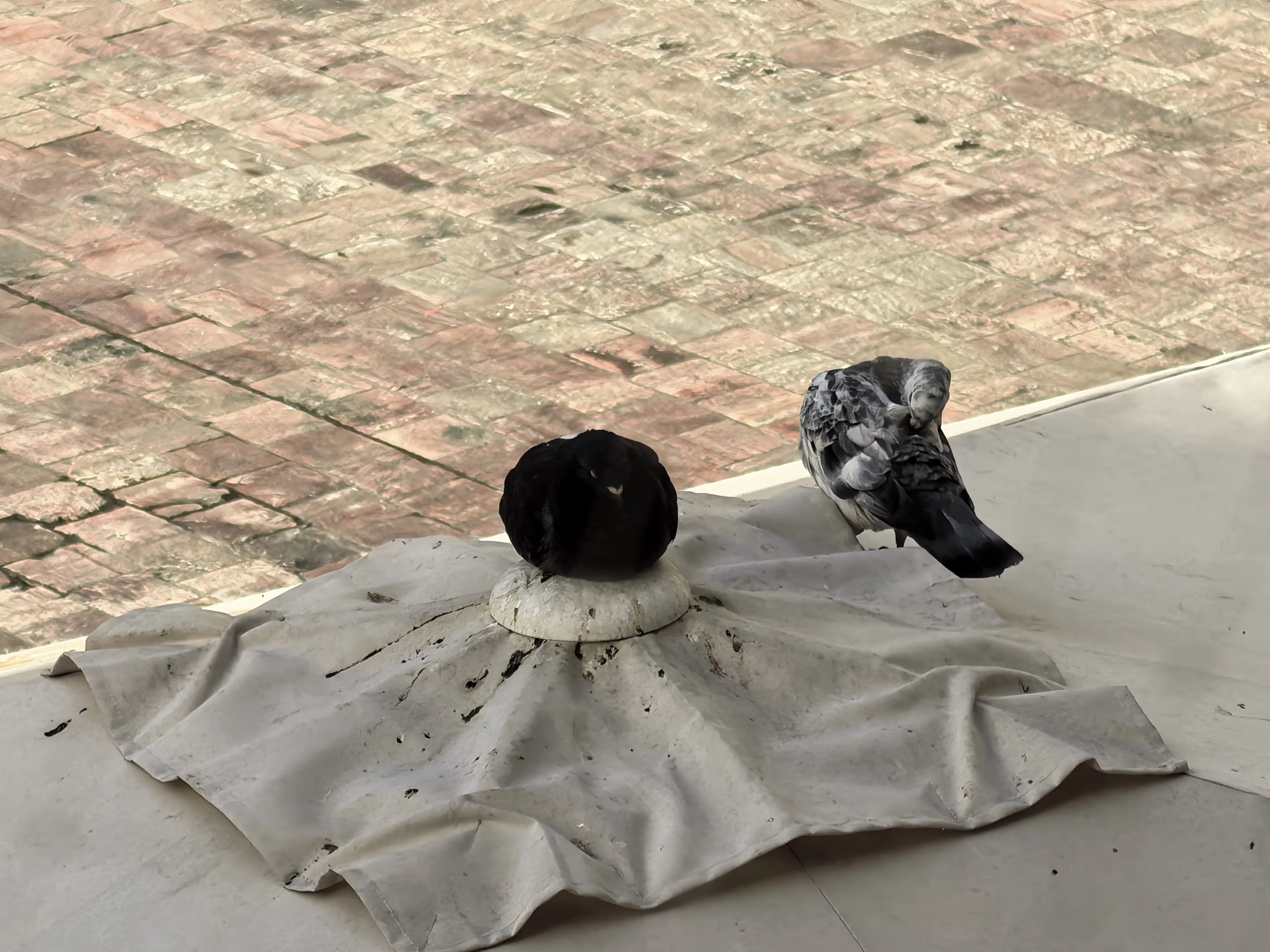 HUAWEI Pura 70 Ultra - System Aparatów - IMG_20251202_122810.webp